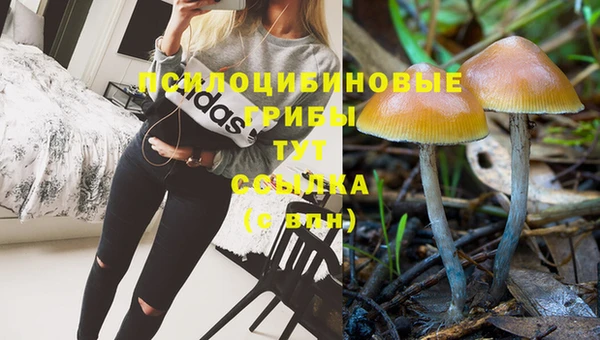 а пвп мука Алзамай